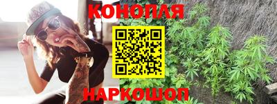 трава Лесосибирск