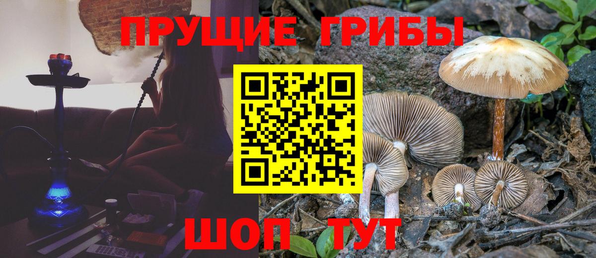 Галлюциногенные грибы мицелий Ивантеевка