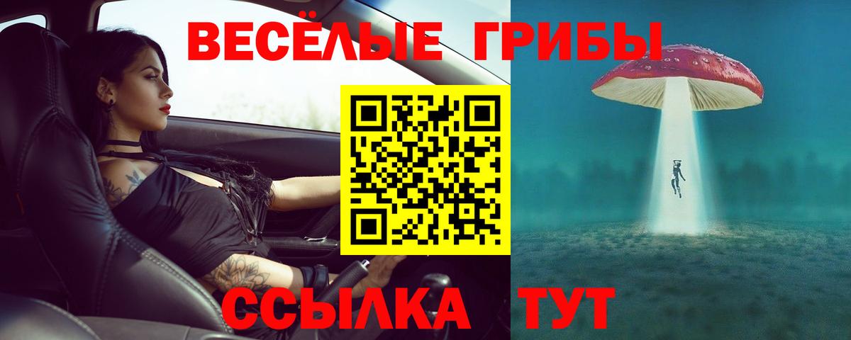 Ивантеевка  Псилоцибиновые грибы GOLDEN TEACHER  Вход с VPN  Псилоцибиновые грибы MAGIC MUSHROOMS 